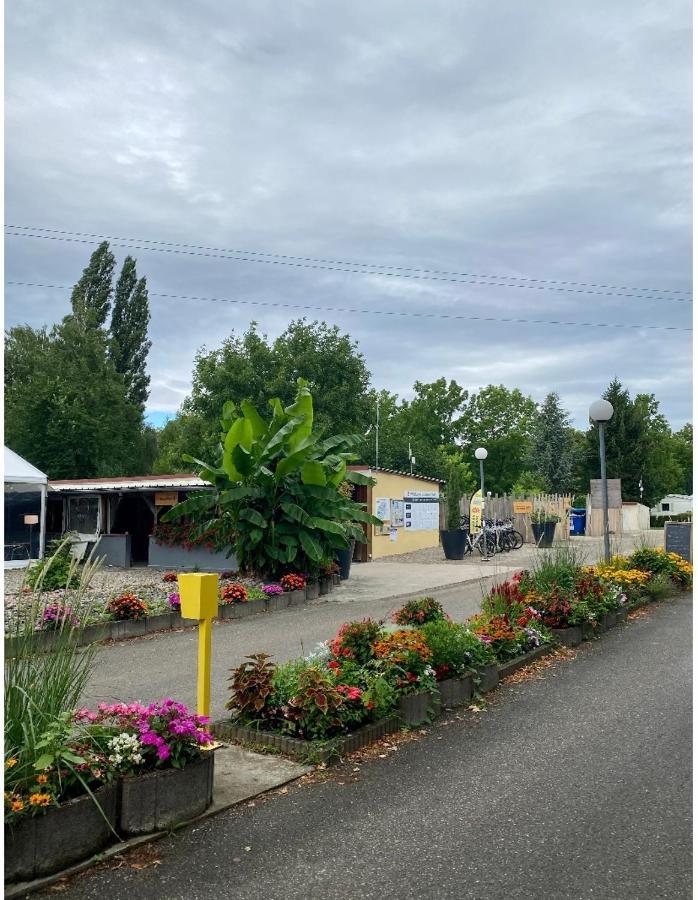 Mobile Home Proche De Europa Park Boofzheim Dış mekan fotoğraf